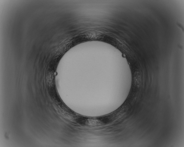 X0000100480605200807031853