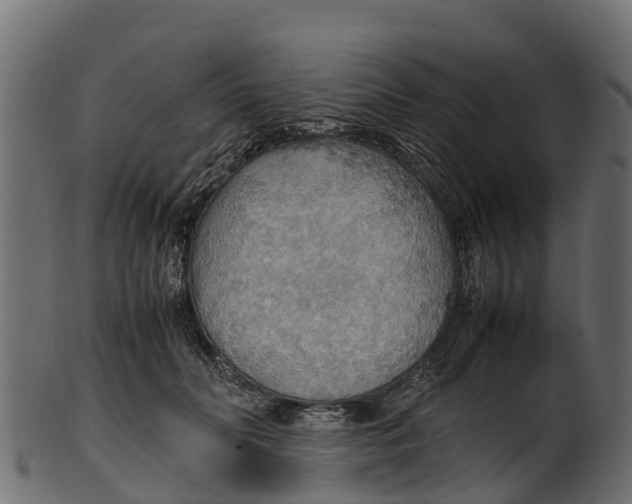 X0000100480606200807031853