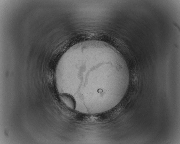 X0000100480607200807031853