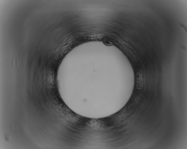 X0000100480608200807031853