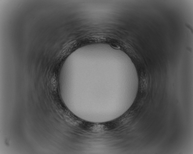 X0000100480609200807031853