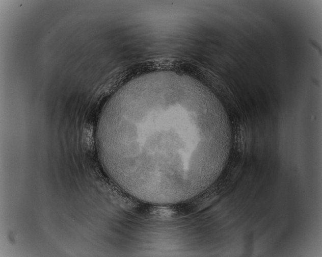 X0000100480610200807031853