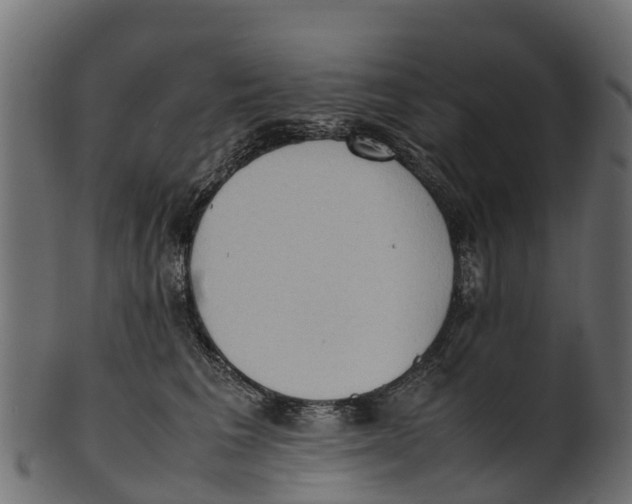 X0000100480613200807031853