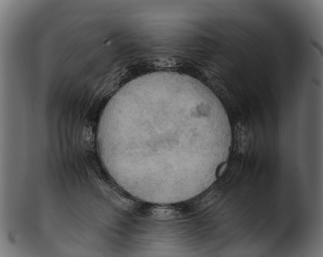 X0000100480614200807031853