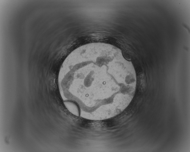 X0000100480615200807031853