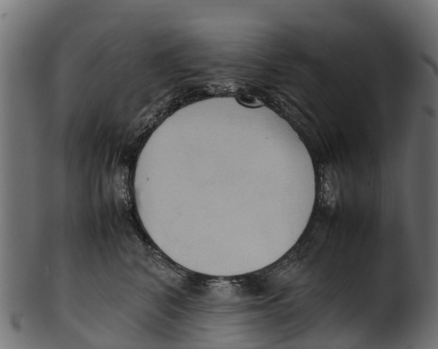 X0000100480616200807031853