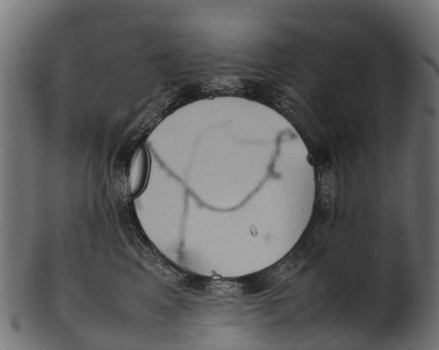 X0000100480617200807031853