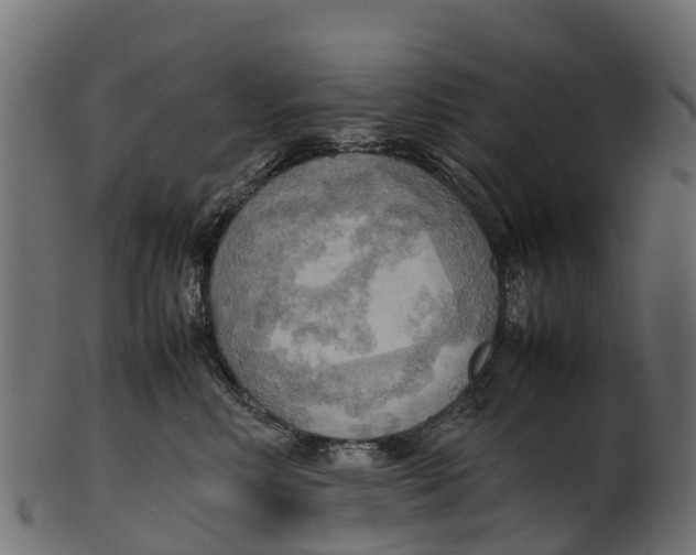 X0000100480618200807031853