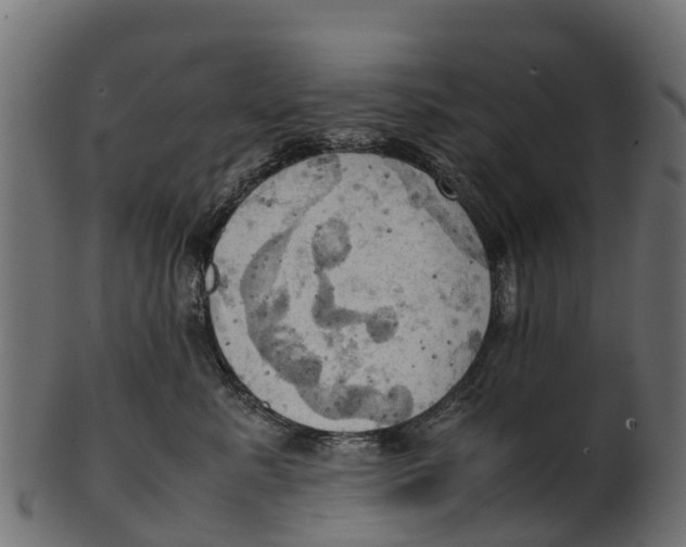 X0000100480619200807031853