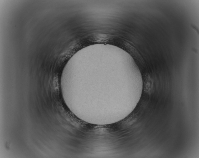 X0000100480620200807031853