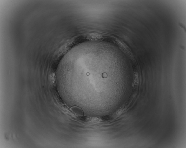 X0000100480621200807031853