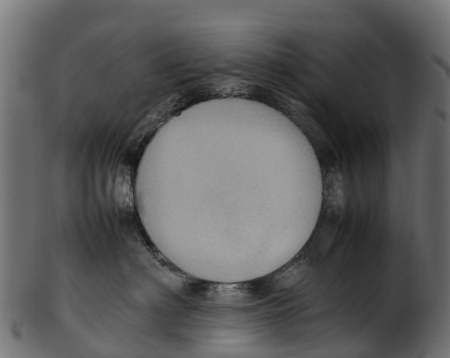 X0000100480622200807031853