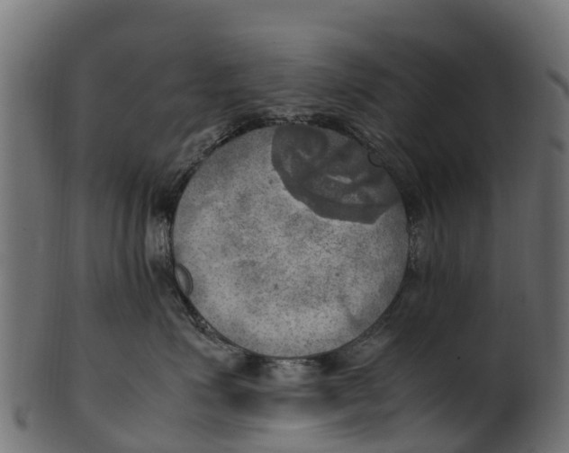 X0000100480623200807031853