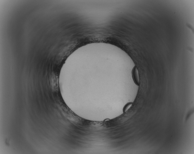 X0000100480624200807031853