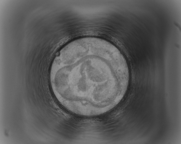 X0000100480625200807031852