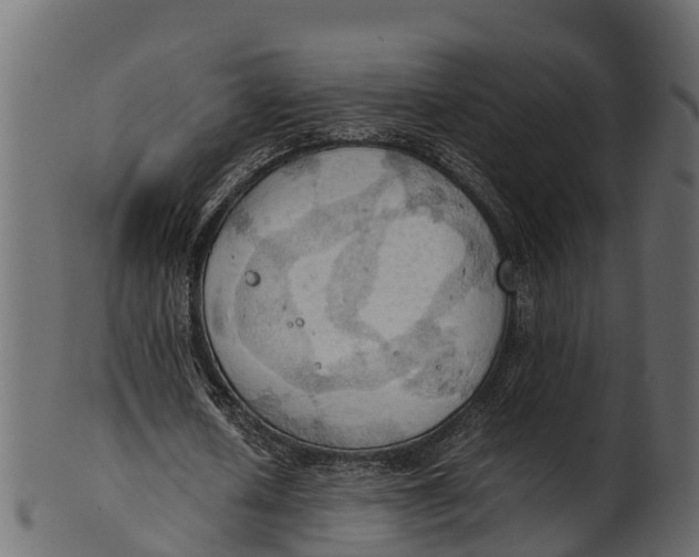 X0000100480626200807031852