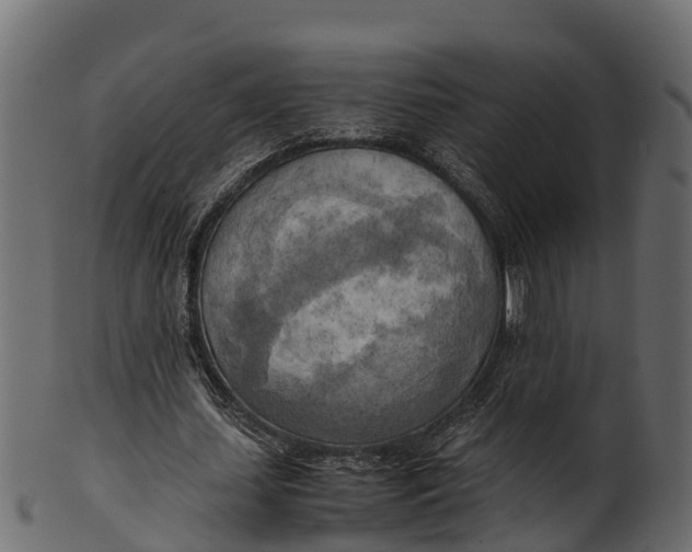 X0000100480627200807031852