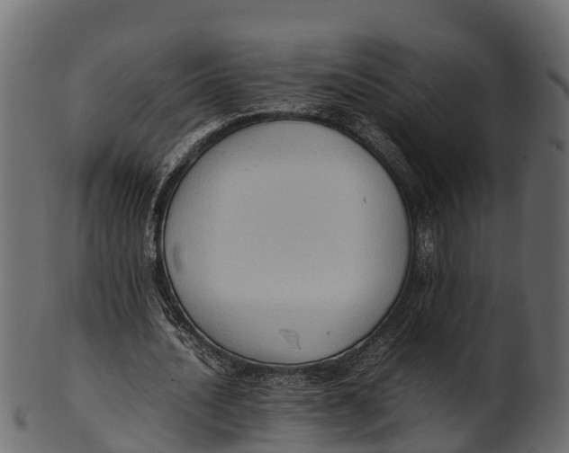 X0000100480628200807031852