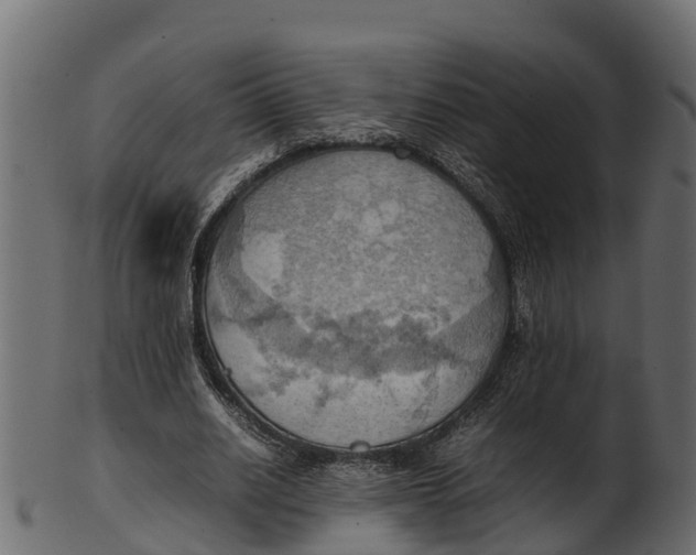 X0000100480630200807031852