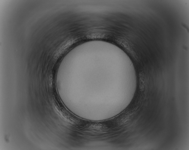 X0000100480631200807031852