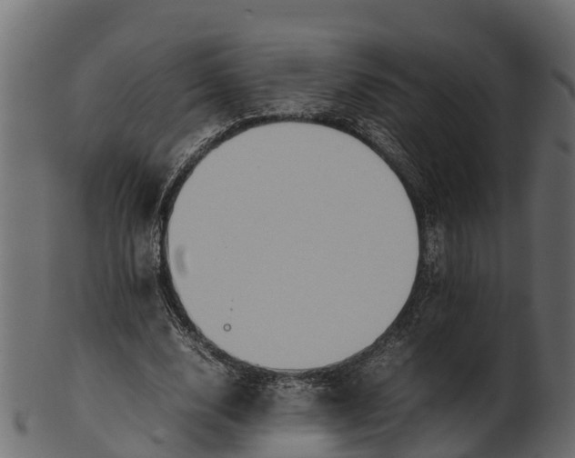 X0000100480632200807031852