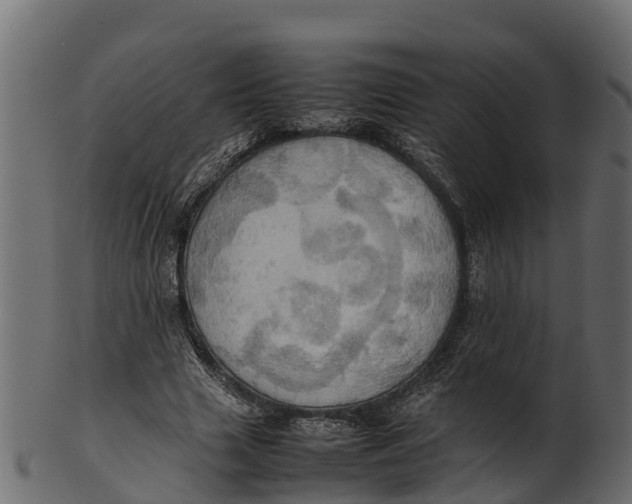 X0000100480633200807031852