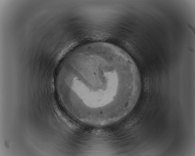 X0000100480634200807031852