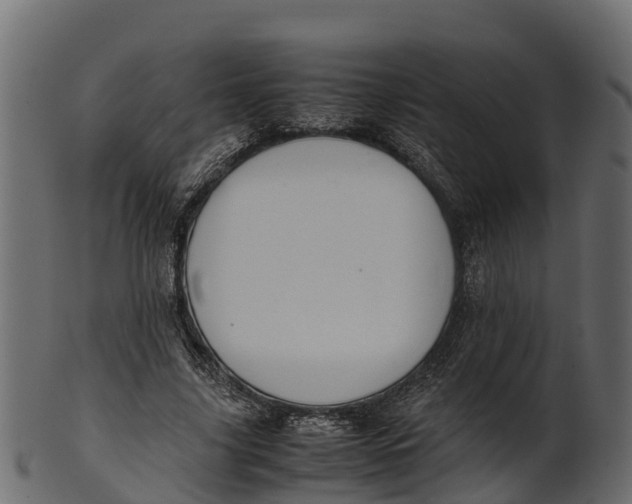 X0000100480635200807031852