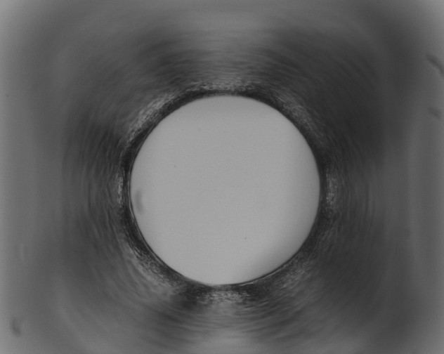 X0000100480636200807031852