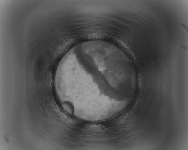 X0000100480637200807031852