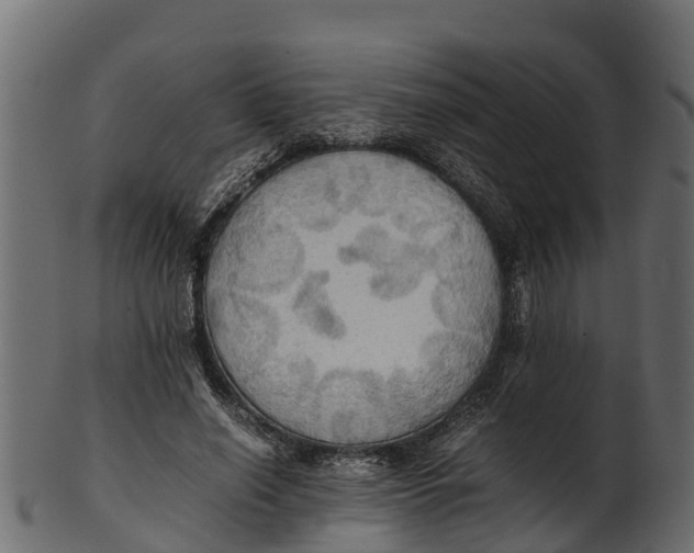 X0000100480638200807031853