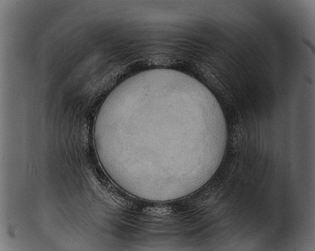 X0000100480639200807031853