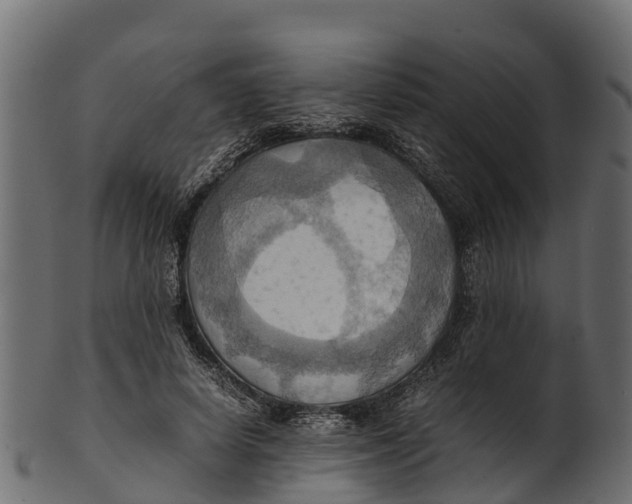 X0000100480642200807031853