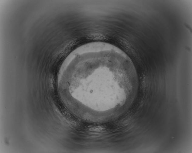 X0000100480643200807031853