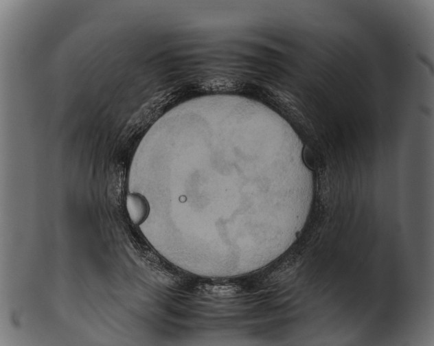 X0000100480645200807031853