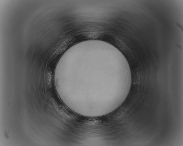 X0000100480646200807031853