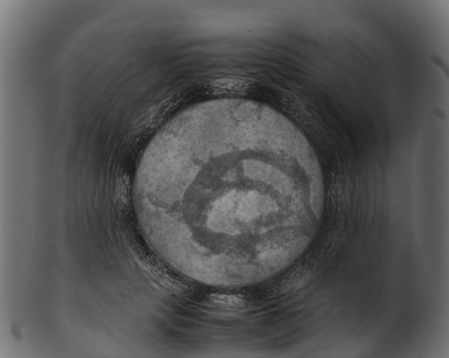 X0000100480649200807031853