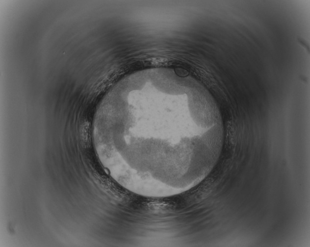 X0000100480650200807031853