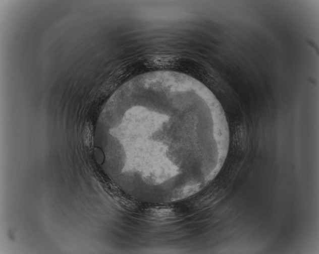 X0000100480651200807031853