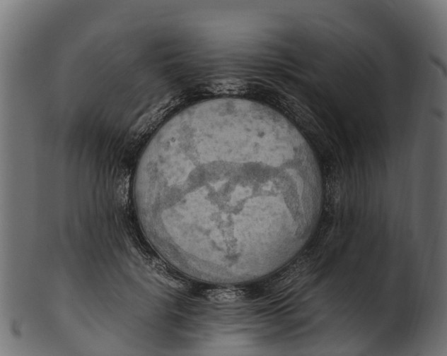 X0000100480652200807031853