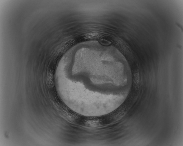 X0000100480653200807031853