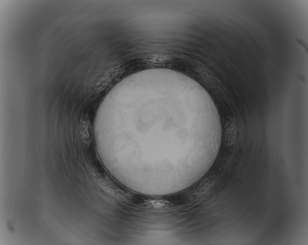 X0000100480654200807031853