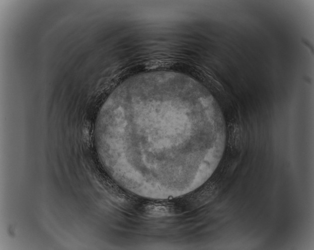 X0000100480655200807031853