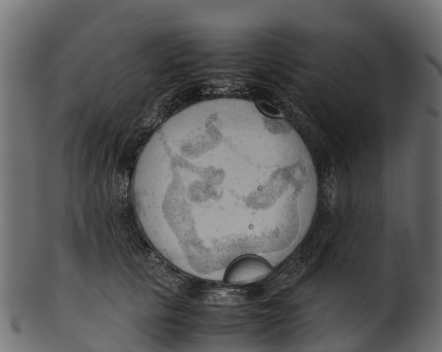 X0000100480657200807031853