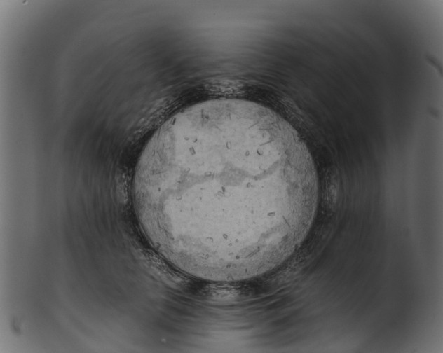 X0000100480658200807031853