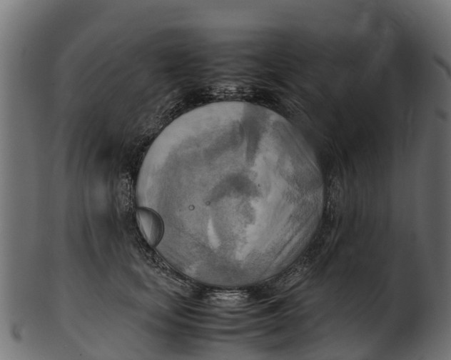 X0000100480659200807031853