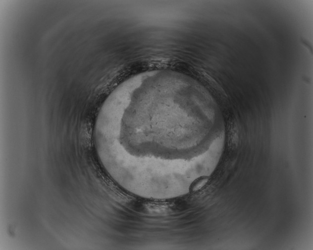 X0000100480661200807031853