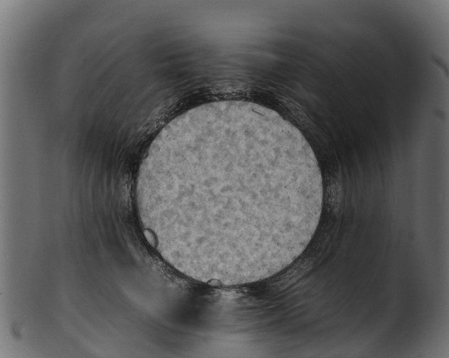 X0000100480662200807031853