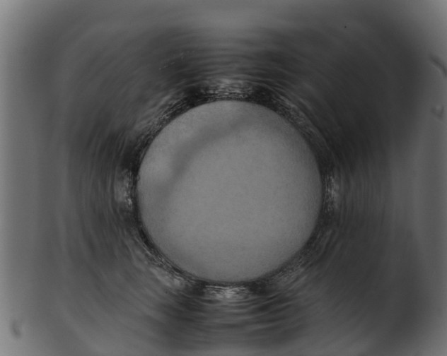 X0000100480663200807031853