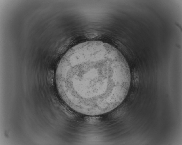 X0000100480664200807031853